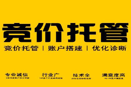 行业领先企业的SEM竞价专员工作实录